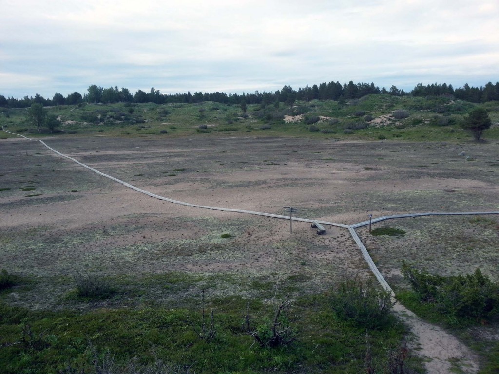 20150712_191524